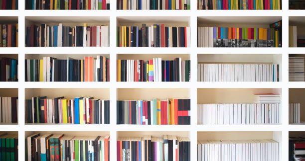 Home library wall. Clean and modern decoration. Organized neat bookshelf room. stock photo
