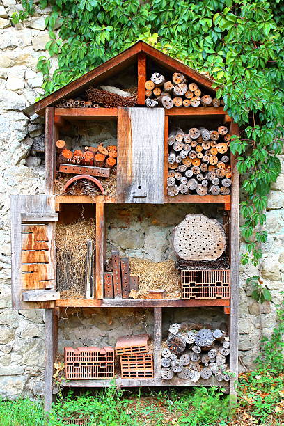 Vertical composition color photography of insect hotel wooden house outdoor, homemade in garden or back yard in summer season day, shot without people. Made with red bricks and wood logs from tree to host insect animal biodiversity.