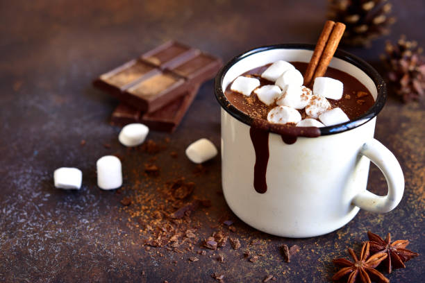 Homemade spicy hot chocolate with cinnamon and marshmallows stock photo