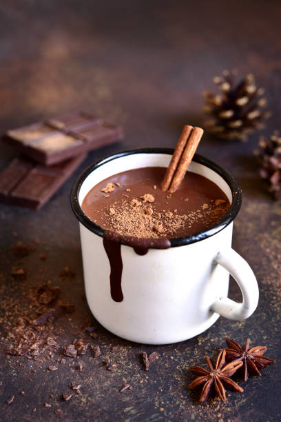 Homemade spicy hot chocolate with cinnamon stock photo