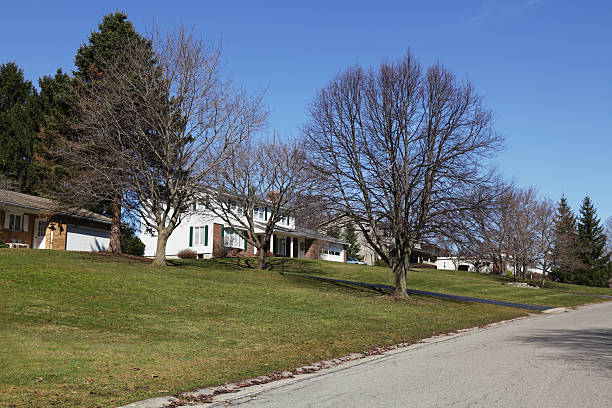Homes on Suburban Residential Neighborhood Street Early Spring Uphill view of several suburban residential neighborhood houses in very early spring. Debris from past autumn - hidden under snow all winter - is now visible on a sunny March day.  bare tree stock pictures, royalty-free photos & images