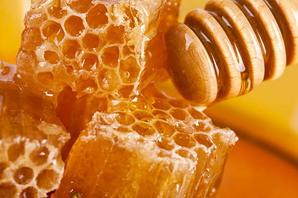 Honeycomb and wooden stick stock photo