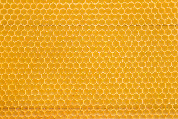 Honeycomb background picture stock photo