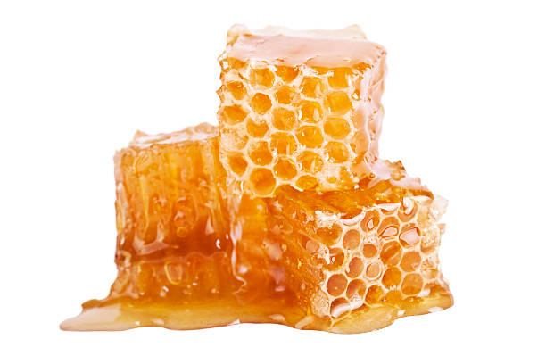 Honeycomb slice stock photo
