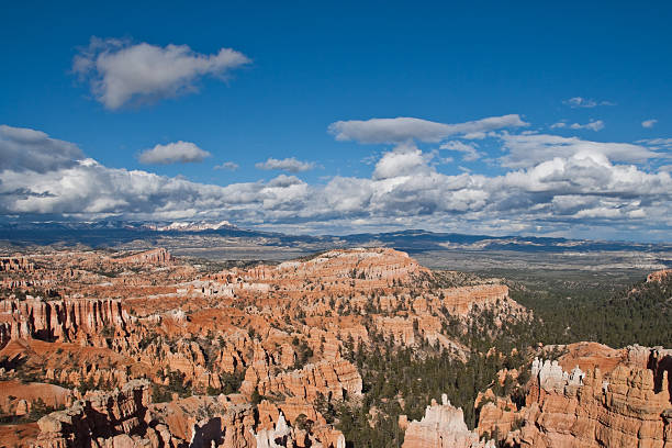 Hoodoos and Forested Canyon from Sunset Point Bryce Canyon is famous for its tall thin spires of rock known as hoodoos. Hoodoos start with an initial deposition of rock. Then over time the rock is uplifted then eroded and weathered. Hoodoos typically consist of relatively soft rock topped by harder, less easily eroded stone that protects each column from the weather. Hoodoos generally form within sedimentary rock such as sandstone. These hoodoos were photographed from Sunset Point in Bryce Canyon National Park, Utah, USA. garfield county utah stock pictures, royalty-free photos & images