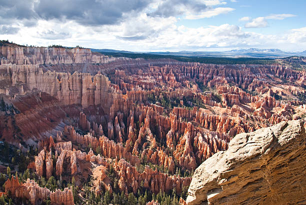 Hoodoos from Bryce Point Bryce Canyon is famous for its tall thin spires of rock known as hoodoos. Hoodoos start with an initial deposition of rock. Then over time the rock is uplifted then eroded and weathered. Hoodoos typically consist of relatively soft rock topped by harder, less easily eroded stone that protects each column from the weather. Hoodoos generally form within sedimentary rock such as sandstone. These hoodoos were photographed from Bryce Point in Bryce Canyon National Park, Utah, USA. garfield county utah stock pictures, royalty-free photos & images