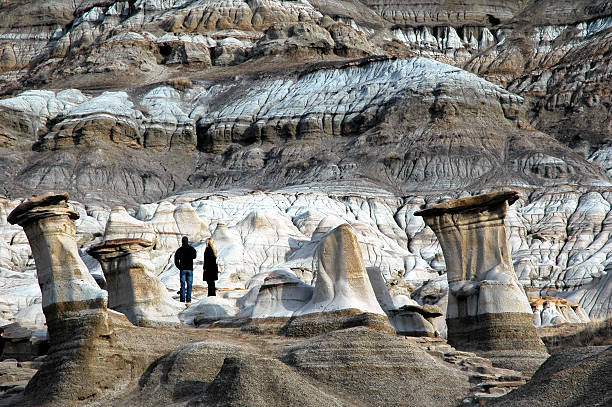Hoodoos near Drumheller,Alberta. These vertical mushroom like structures of sandstone are formed by erosion. rock hoodoo stock pictures, royalty-free photos & images