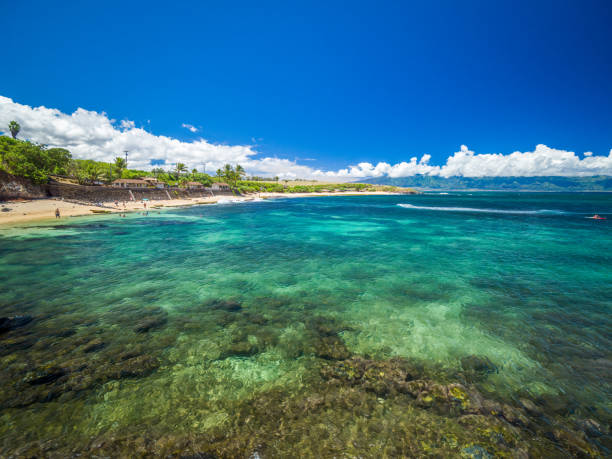 Ho'okipa Beach Park in Maui Hawaii, windsurfing site, big waves and big Turtles stock photo