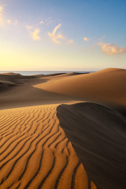 Horizontal landscape of dunes in Gran Canaria island, Maspalomas. stock photo