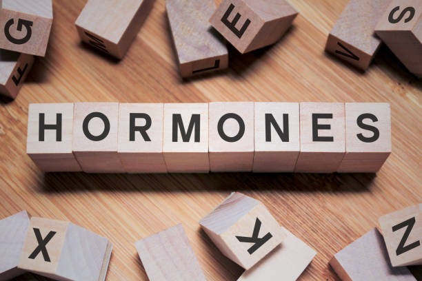 Hormones Word In Wooden Cube  hormone stock pictures, royalty-free photos & images