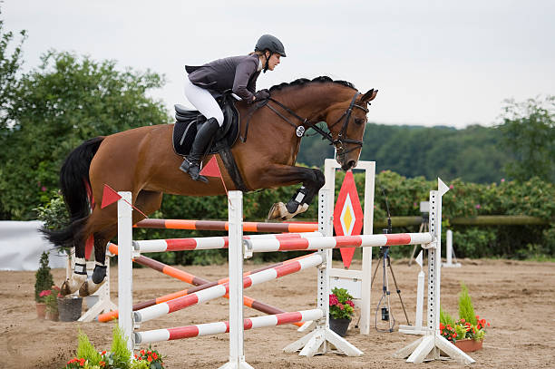 horse and jockey performing jumps - jumping stockfoto's en -beelden