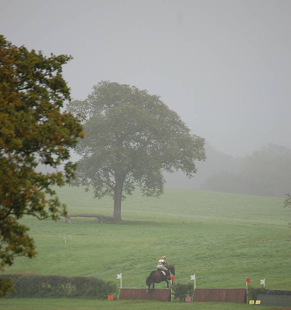 Horse and rider at cross country event in the fog stock photo