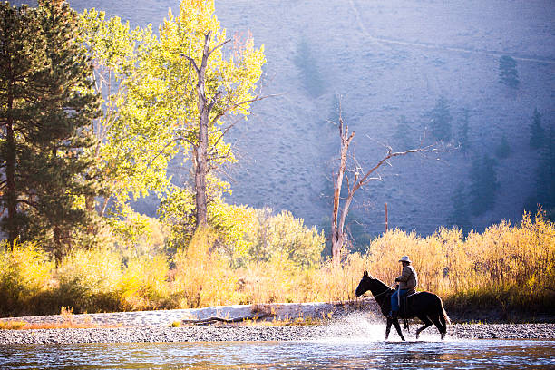 Horse and rider wade in water along western river bank stock photo