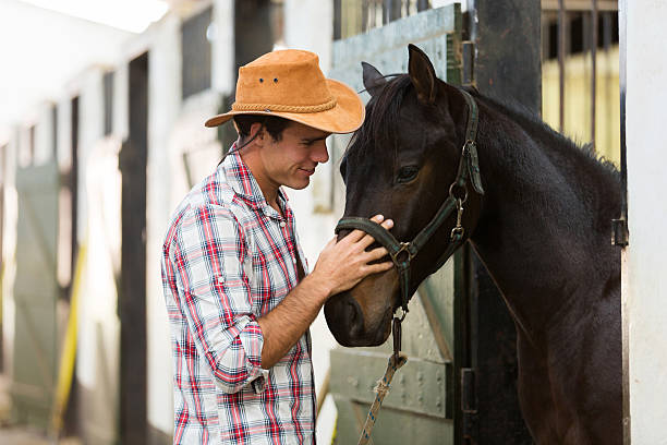 allevatore di cavalli confortevole un cavallo - allevatore foto e immagini stock