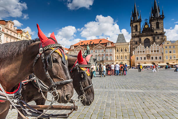 Horse Carriage waiting for tourists at the Old Square in Prague.