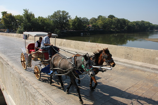 Edirne, Turkey - October 7, 2012: Coachman and Horses are on meric bridge for transporting people in edirne, Turkey.