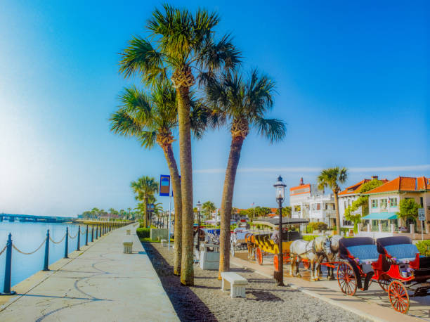 Horse drawn carriages line road in St. Augustine, Florida (P) Horse drawn carriage, Matanzas Bay, Anastasia Island, St. Augustine Municipal Marina historic district stock pictures, royalty-free photos & images