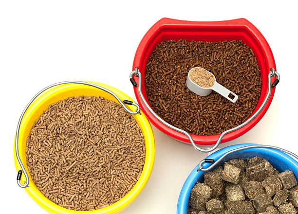 Horse Feed and Supplements stock photo