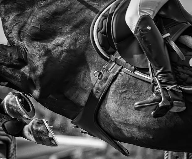 horse jumping competition - jumping stockfoto's en -beelden