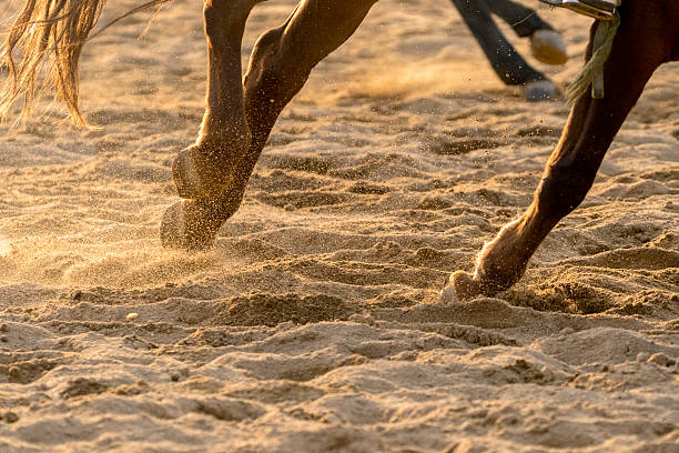 horse racing on sands horse racing on sands horse hoof prints stock pictures, royalty-free photos & images