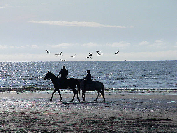 Horse ride on the beach of Deauville stock photo