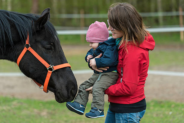 Horse snuffing a little baby boy stock photo