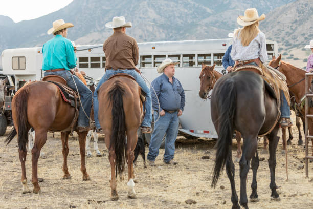 häst ryttare på ranch - smiling earth horse bildbanksfoton och bilder