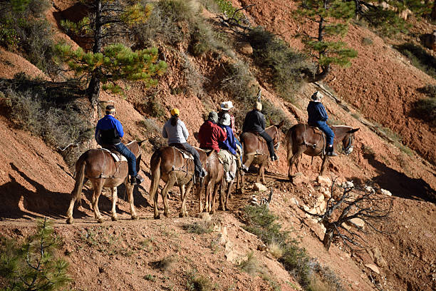 Horseback Riding Bryce Canyon stock photo