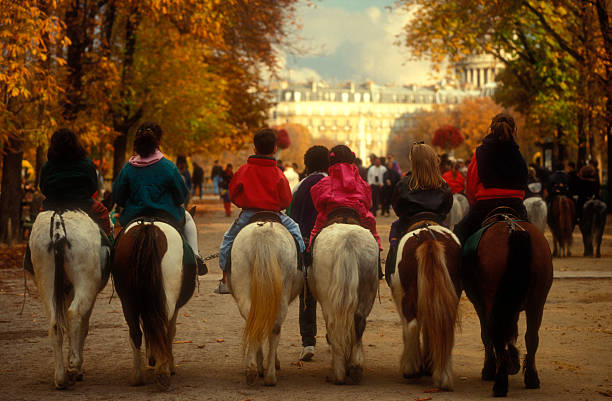 Horseback riding in Paris stock photo