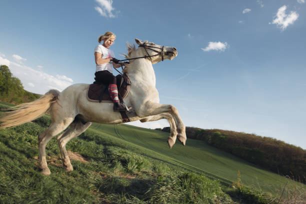 Horseback riding stock photo