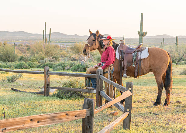 horsewomans at rail fence - desert cowgirl bildbanksfoton och bilder