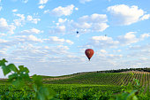 istock Hot Air Balloons rise over California Wine Country, Temecula, California 1364994005