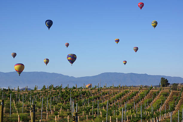 Hot Air Balloons Soaring over Temecula Wine Country stock photo