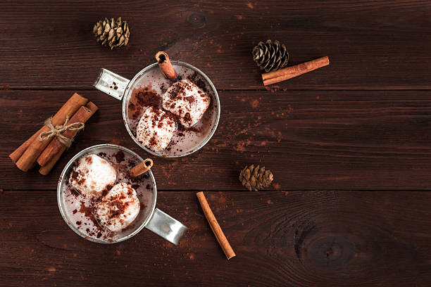 hot chocolate, marshmallows, cinnamon sticks and fir cones - hot chocolate imagens e fotografias de stock