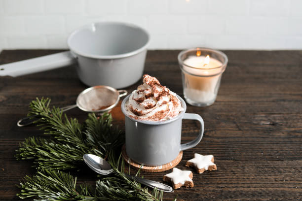 hot chocolate with fir branch and christmas cookies - hot chocolate imagens e fotografias de stock