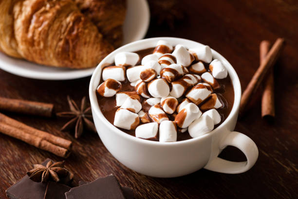 hot chocolate with marshmallows and cinnamon - hot chocolate imagens e fotografias de stock