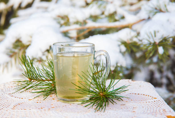 Hot pine tree needle tea infusion in transparent glass tea cup on table. Snowy pine tree on background, outdoors on cold winter day. stock photo