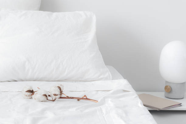 Hotel Bed with a Cotton Branch on Duvet A bed with clean white bedding and a lamp next to it. bed  stock pictures, royalty-free photos & images
