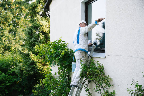 House painter paints the window frame from the outside stock photo