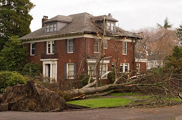 flip insurance hurricane damage