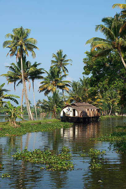 Houseboat on Kerala backwaters, India Traditional houseboat on Kerala backwaters. Kerala, India kerala stock pictures, royalty-free photos & images