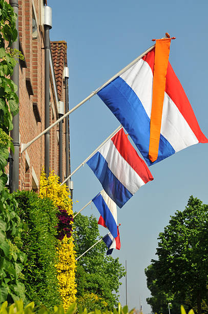 häuser mit holländischer flagge und orange der luftleitbleche (banner) im freien - holländische flagge stock-fotos und bilder