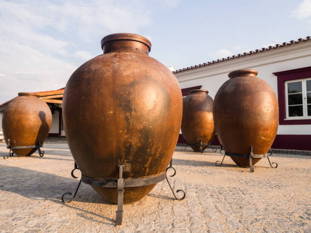 huge clay wine containers in alentejo region, portugal - alentejo imagens e fotografias de stock