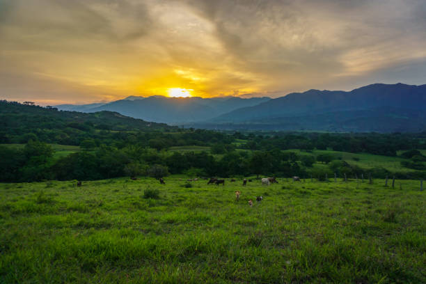 Huila, Colombia Landscape stock photo