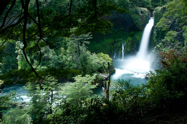 huilo-huilo waterfall - martinelli stok fotoğraflar ve resimler