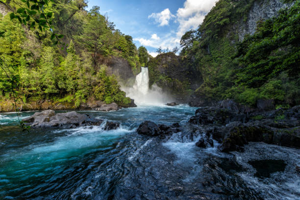 Huilo-Huilo Waterfalls Huilo-Huilo is a waterfall located in Huilo-Huilo Biological Reserve in southern Chile. It lies next to Neltume in the international road to Hua Hum Pass, in the border to Argentina. nature reserve stock pictures, royalty-free photos & images
