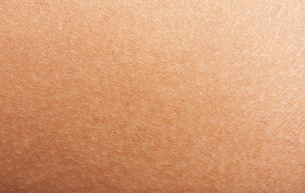 Human Arm Skin Close-up View. Full Frame Shot Of Human Skin human skin close up stock pictures, royalty-free photos & images