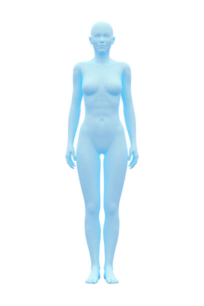 Human Body, Female, Woman stock photo