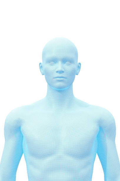 Human Body, Male, Man stock photo