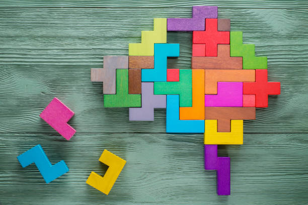 Human brain is made of multi-colored wooden blocks. stock photo